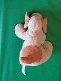 Photo du doudou Biscuit